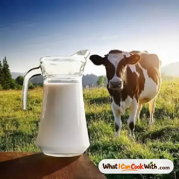 Milk