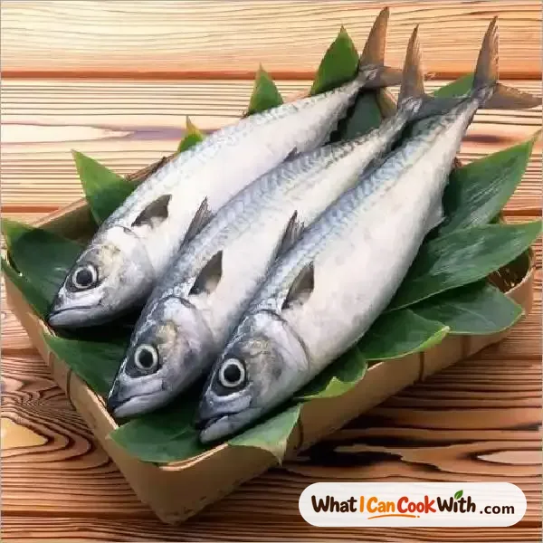 Salmon