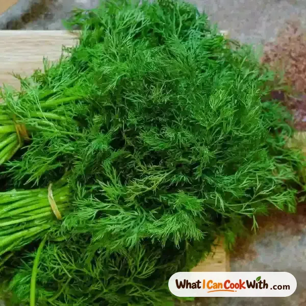 Dill