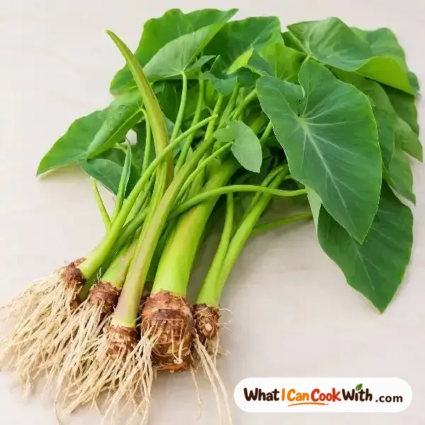 Colocasia Leaves