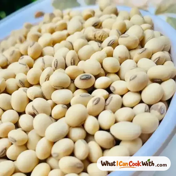Soybean